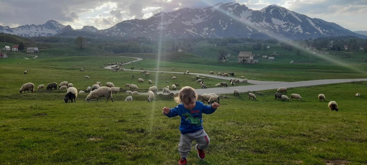 Organic Family Farm Ξενοδοχείο Žabljak Εξωτερικό φωτογραφία