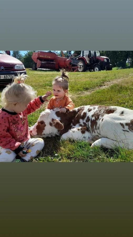 Organic Family Farm Ξενοδοχείο Žabljak Εξωτερικό φωτογραφία