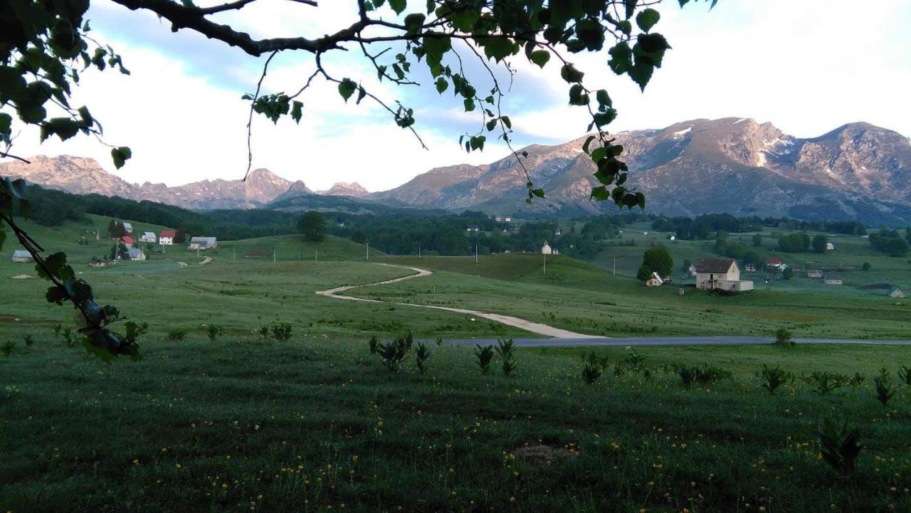 Organic Family Farm Ξενοδοχείο Žabljak Εξωτερικό φωτογραφία