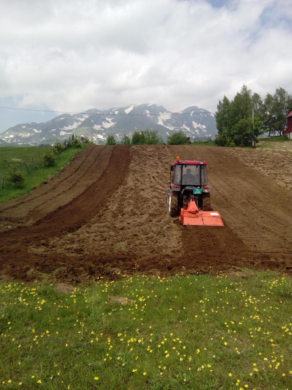 Organic Family Farm Ξενοδοχείο Žabljak Εξωτερικό φωτογραφία