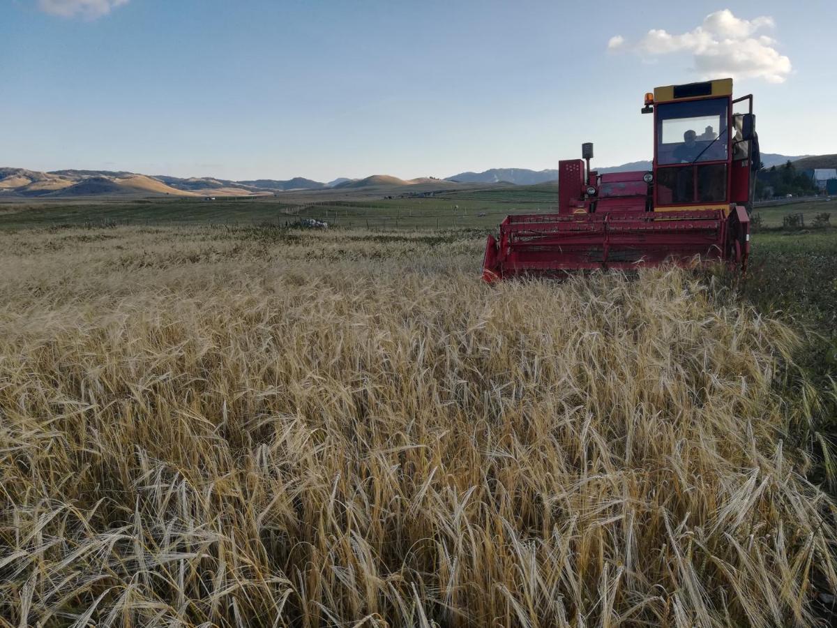 Organic Family Farm Ξενοδοχείο Žabljak Εξωτερικό φωτογραφία